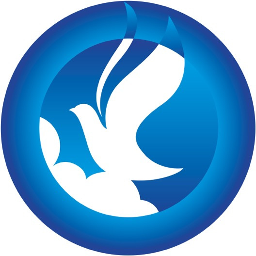 Blue skies yog logo